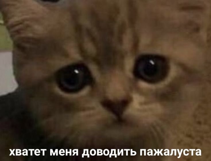 Хватит меня доводить