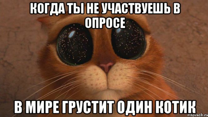 Прости меня Мем