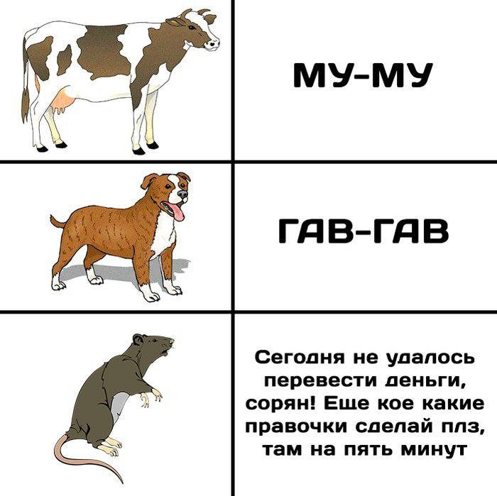 Собака Гав