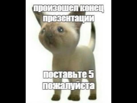 Поставьте 5