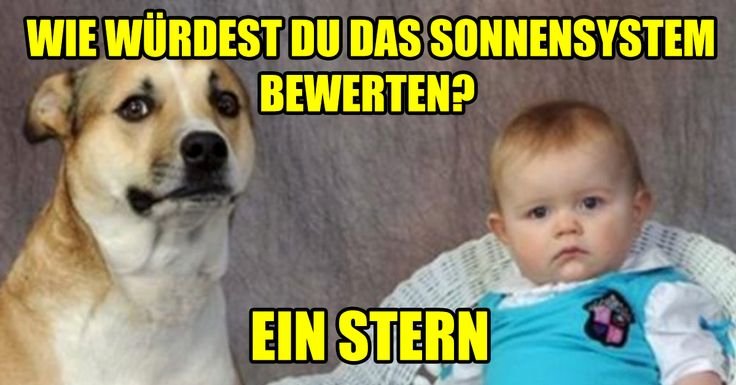 Каждый третий собака