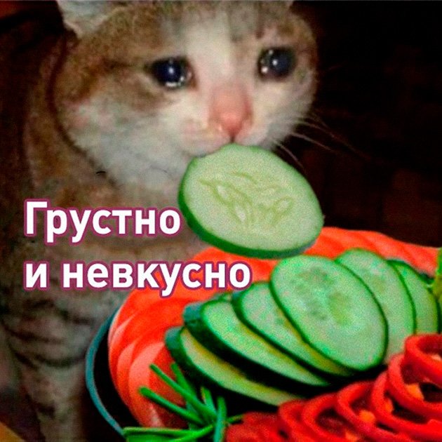 Невкусно и грустно кот