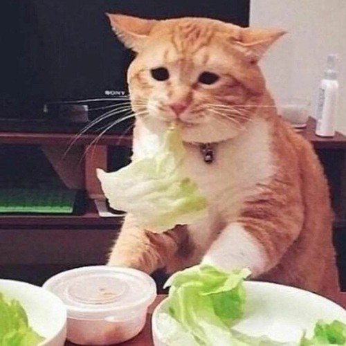 Нифкусна и грустна