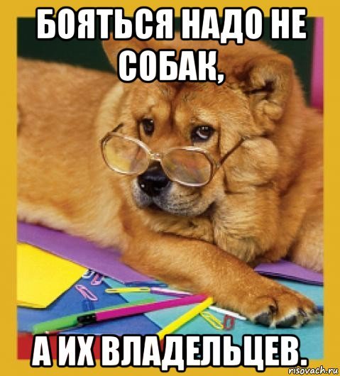 Собака боится Мем