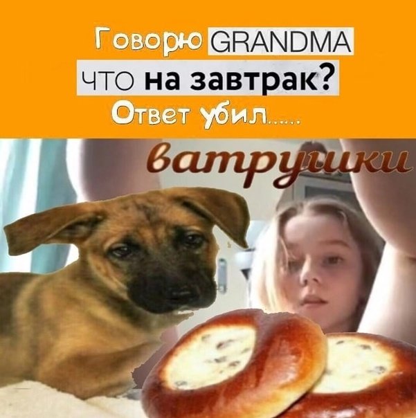 Ватрушки собака
