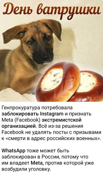 С днем ватрушки