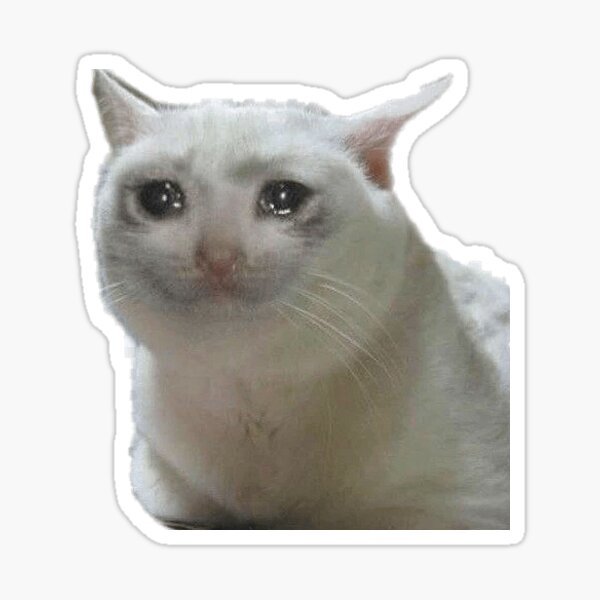 Плачущиё кот