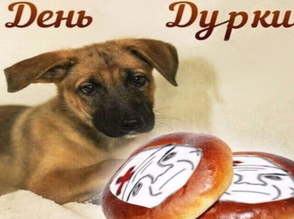 С днем дня мемы