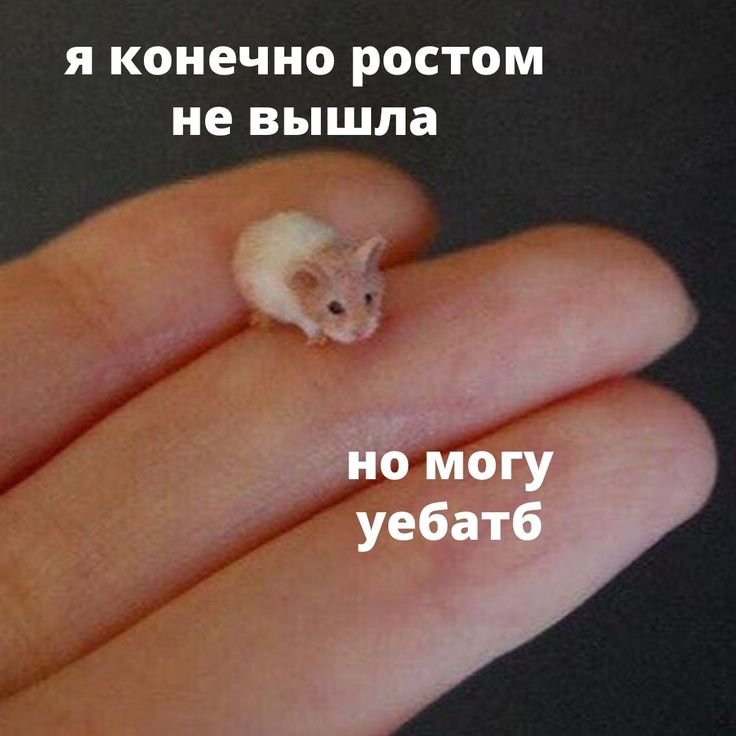 Я ростом не вышла но могу уебать