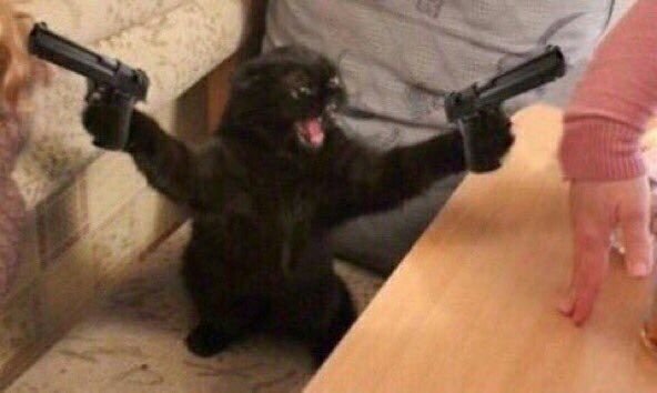 Котик с пистолетом