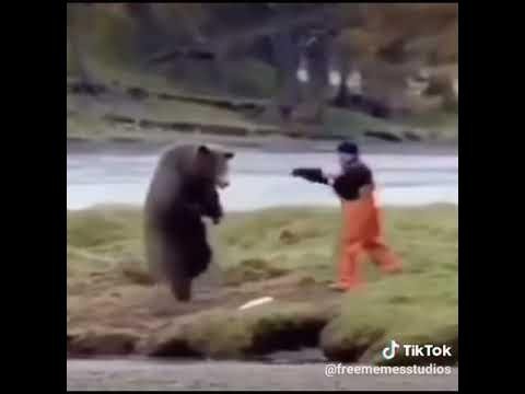 Медведь бьет человека