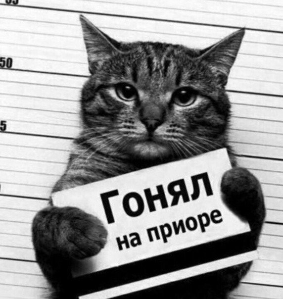 Гонял на приоре кот с табличкой