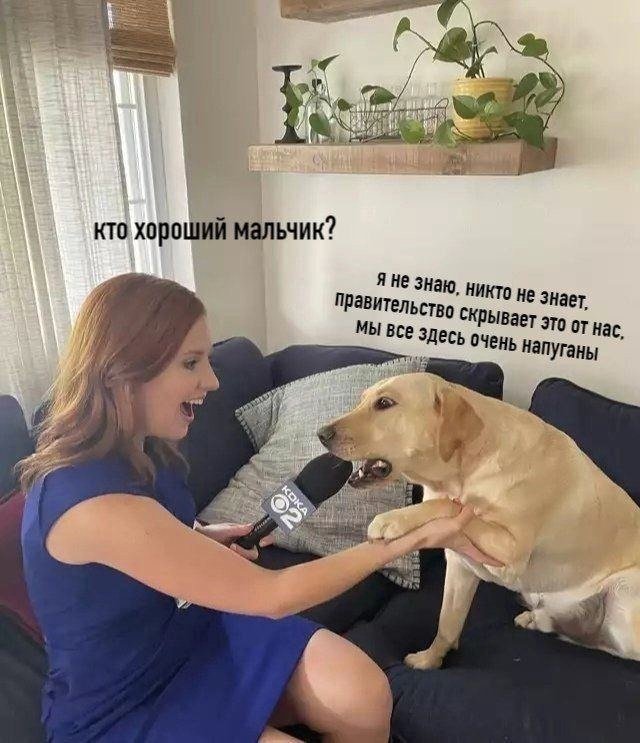 Я после нового года