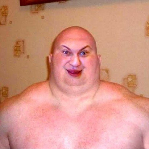 Хованский лысый