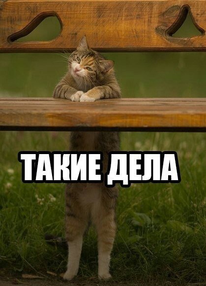 Прикол такие дела