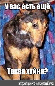 Такие дела собака