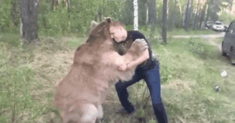 Чел дерется с медведем