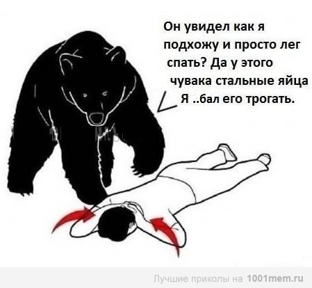 При встрече с медведем Мем