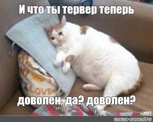 Жирные коты мемы