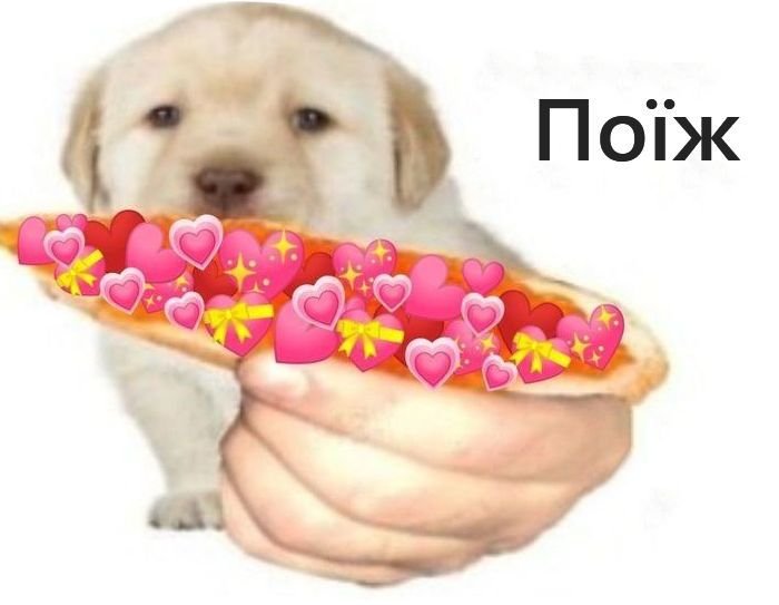 Собаки с сердечками