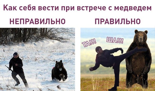 Встреча человека с медведем