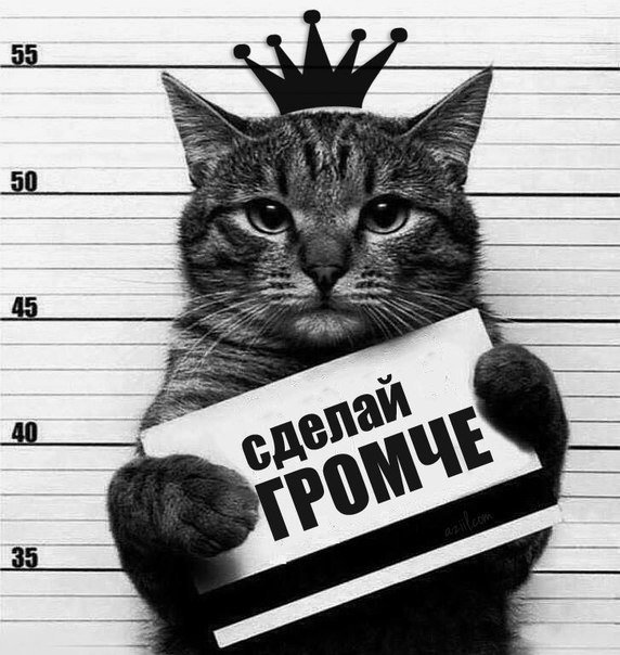 Кот уголовник