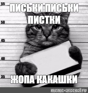 Кот с табличкой в лапах