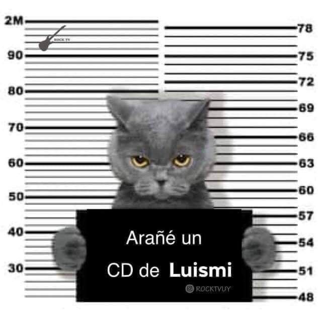 Котик с табличкой