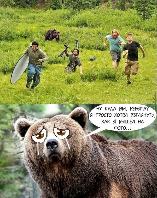 Медведь Мем