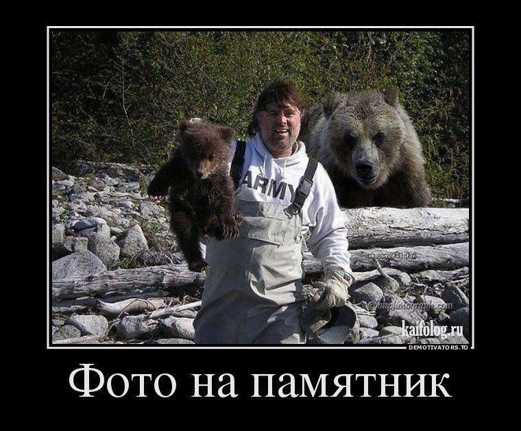 Прикольные фото медведей