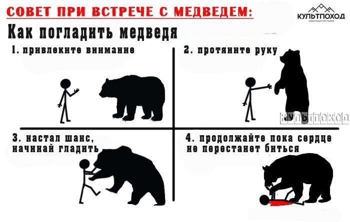 При встрече с медведем прикол