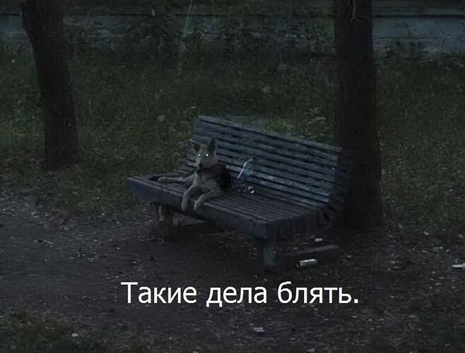 Вот такие дело соблачка