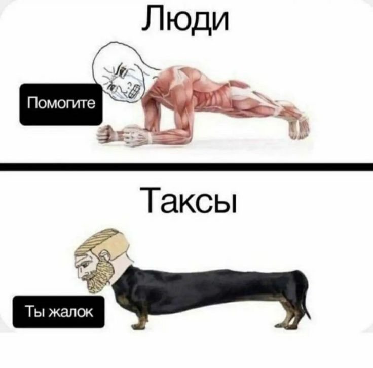 Смешные мемы