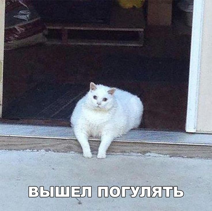 Такие дела Мем