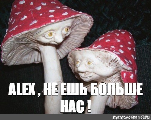 Мухомор МЕМЪ