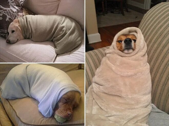 Человек закутанный в плед