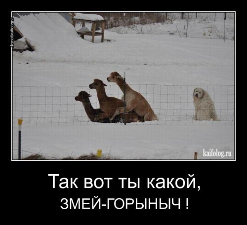 Вот такие дела