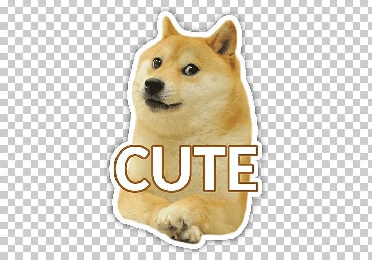 Сиба-ину Dogecoin
