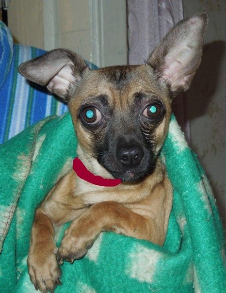 Вот такие дела