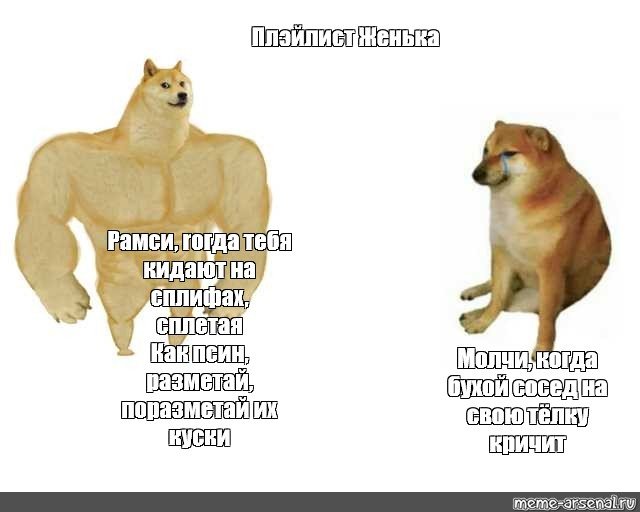 Вот такие дела собачка