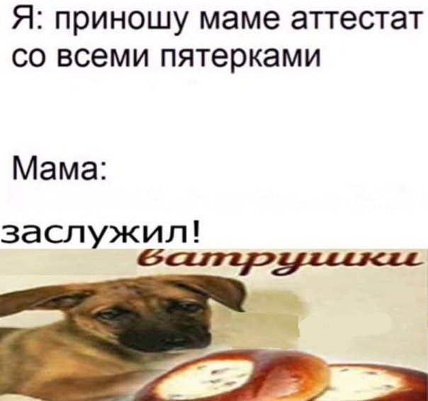 Ватрушечки Мем