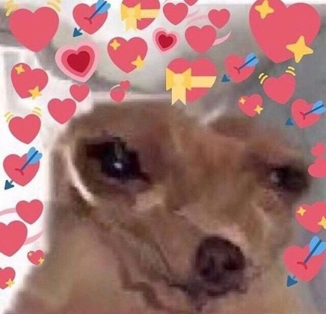 Кот плачет с сердечками