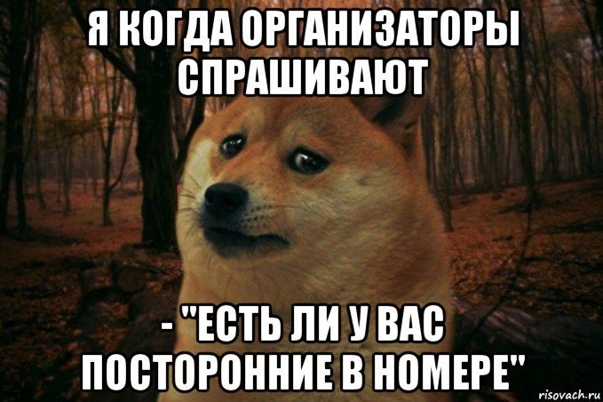 Девушка позвала переустановить виндовс