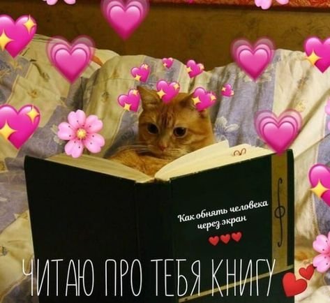 Милые пикчи с котиками не грусти