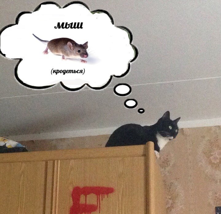 Крадется Мем