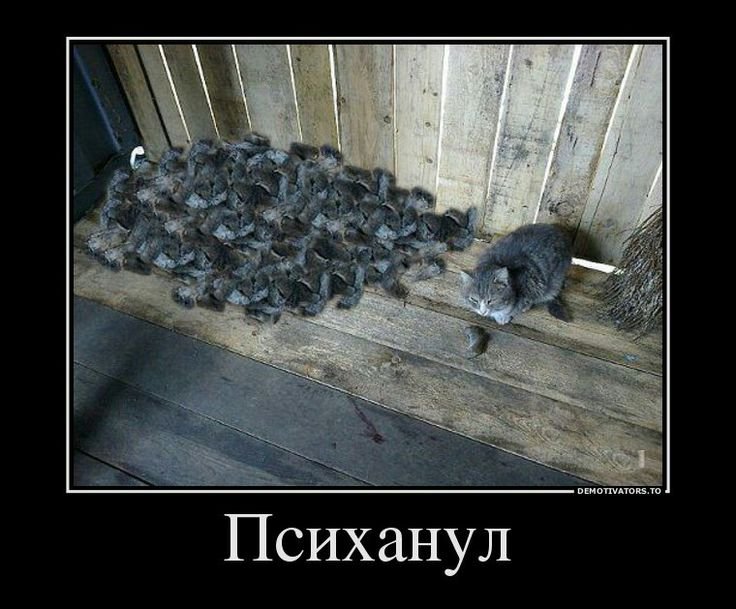 Мышь демотиватор