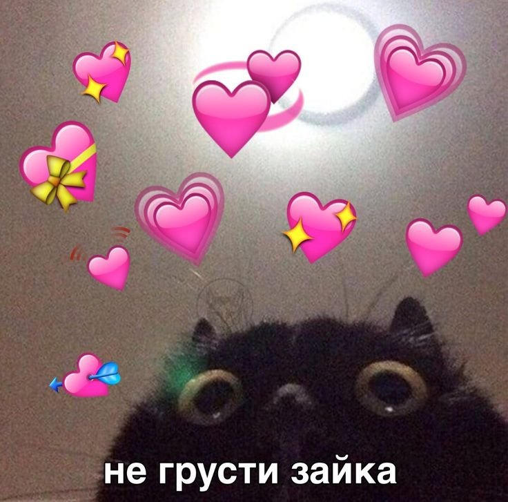 Милые котики с сердечками и надписями