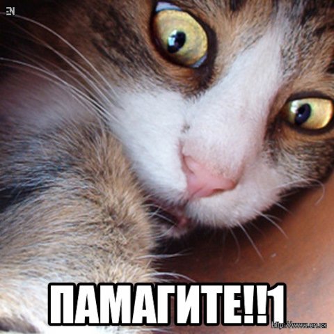 Кот протискивается