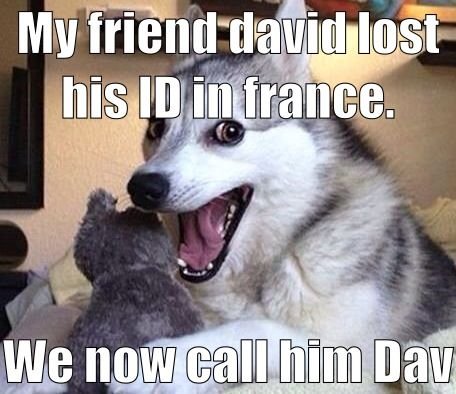 Собака шутит