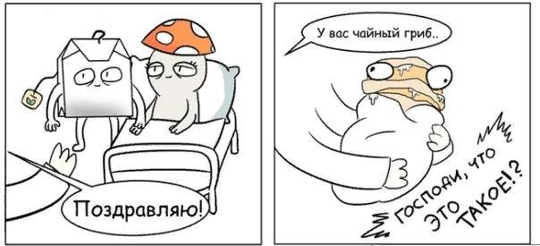 Шутки про чайный гриб